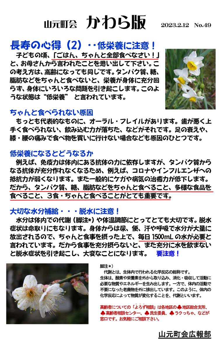 かわら版No.49 長寿の心得 2.低栄養に注意の画像