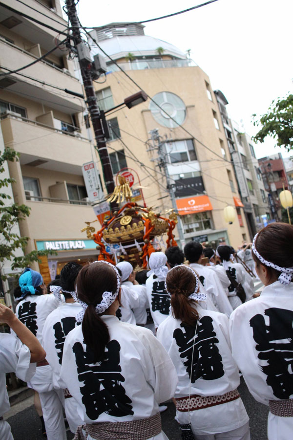2016年祭礼 御神輿練りの画像