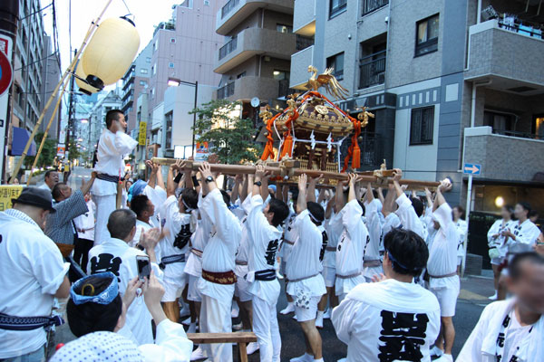 2016年祭礼 御神輿練りの画像
